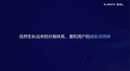 (如何搭建社群体系)探索'像联盟'的独特魅力：如何构建更紧密的社群连接与合作